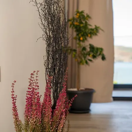 Apartmanhotel Ansira