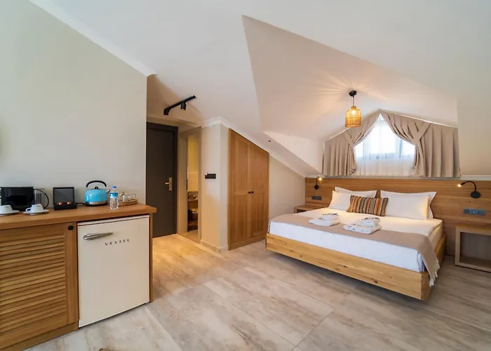 Aparthotel Ansira 4*