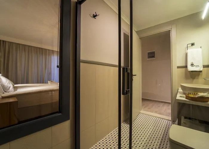 Ansira Φετιγιέ