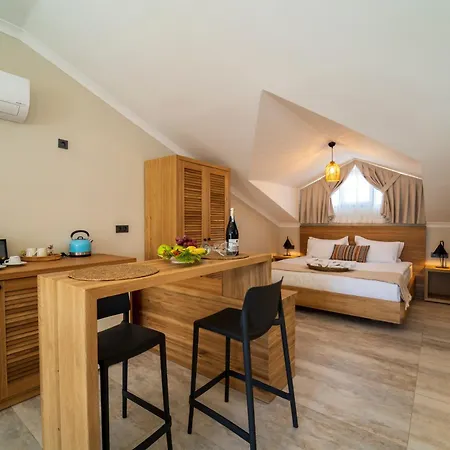 Lägenhetshotell Ansira 4*