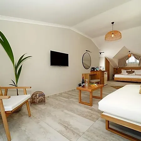 شقة فندقية Ansira 4*