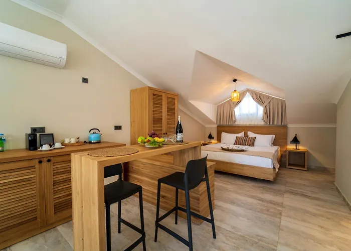 Lägenhetshotell Ansira 4*